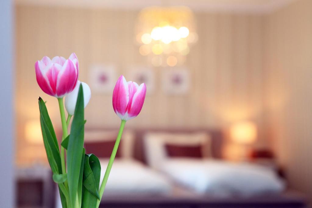 Hotel Krone Bad Ragaz Rom bilde